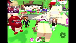 Seeing what people trade for a turkey plush in adopt me!