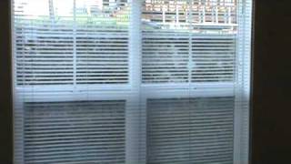 23056thD.wmv
