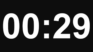 29 Second Timer - No Alarm - 8K