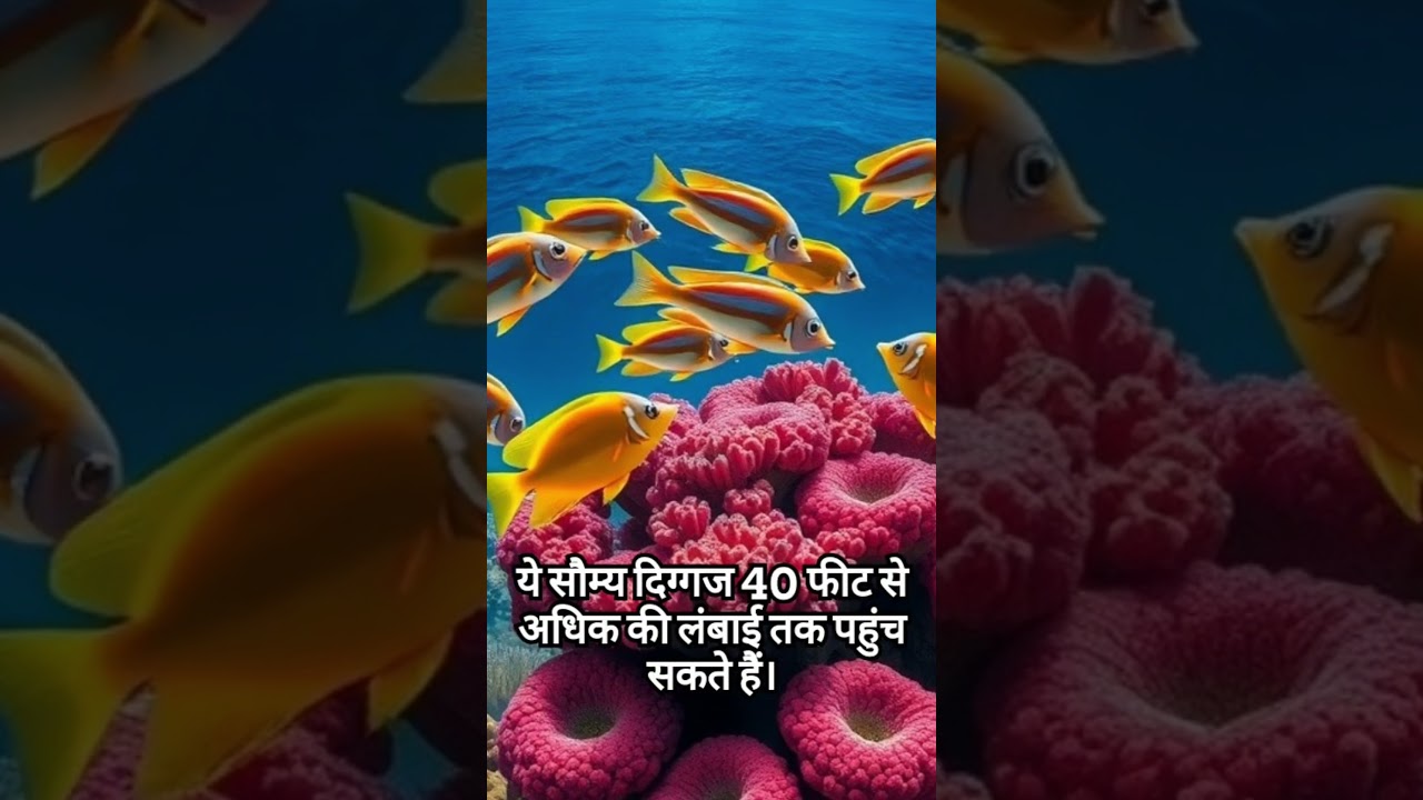 Top 5 Legendary Sea Monsters (That Actually Existed)