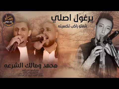 يرغول اصلي 2021 العكسي محمد ومالك الشرعه شفتو راكب تكسيته
