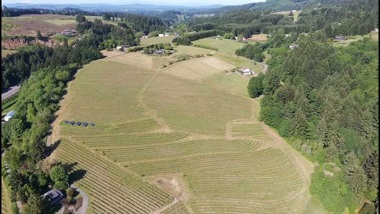 Newberg oregon, 2023.  Gateway to wine country and oregon coast.