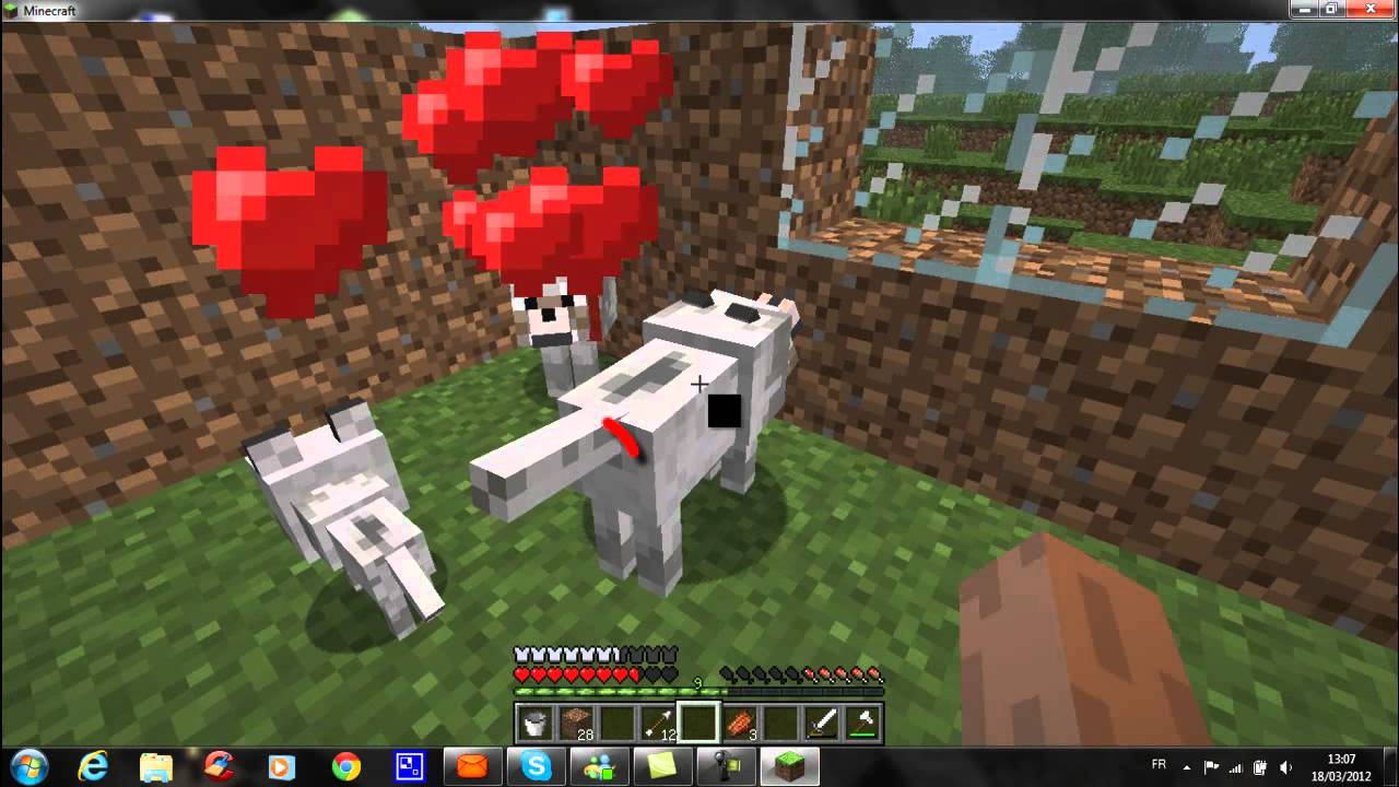 Comment Faire Reproduire Des Loups Dans Minecraft