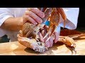 Nhật Bản thực phẩm - Cua Tuyết hải sản nướng lẩu sashimi Nhật Bản