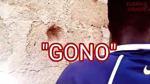 GONO (EVIDENCE COMEDY SERIES)