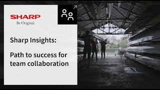 Sharp Insights The Path To Success For Team Collaboration