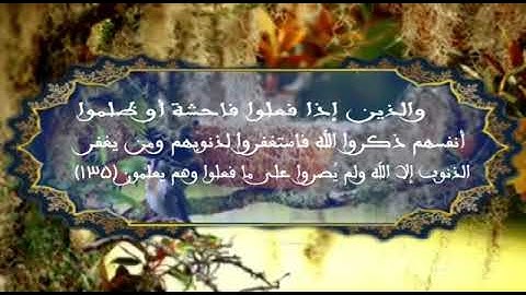آيات من سورة ال عمران (133- 135) بصوت |ندى ممدوح |مونتاج :عبد الرازق مرابط | مدونة كتابات