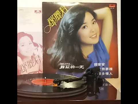 鄧麗君(黑膠碟)~ 夢向何處尋