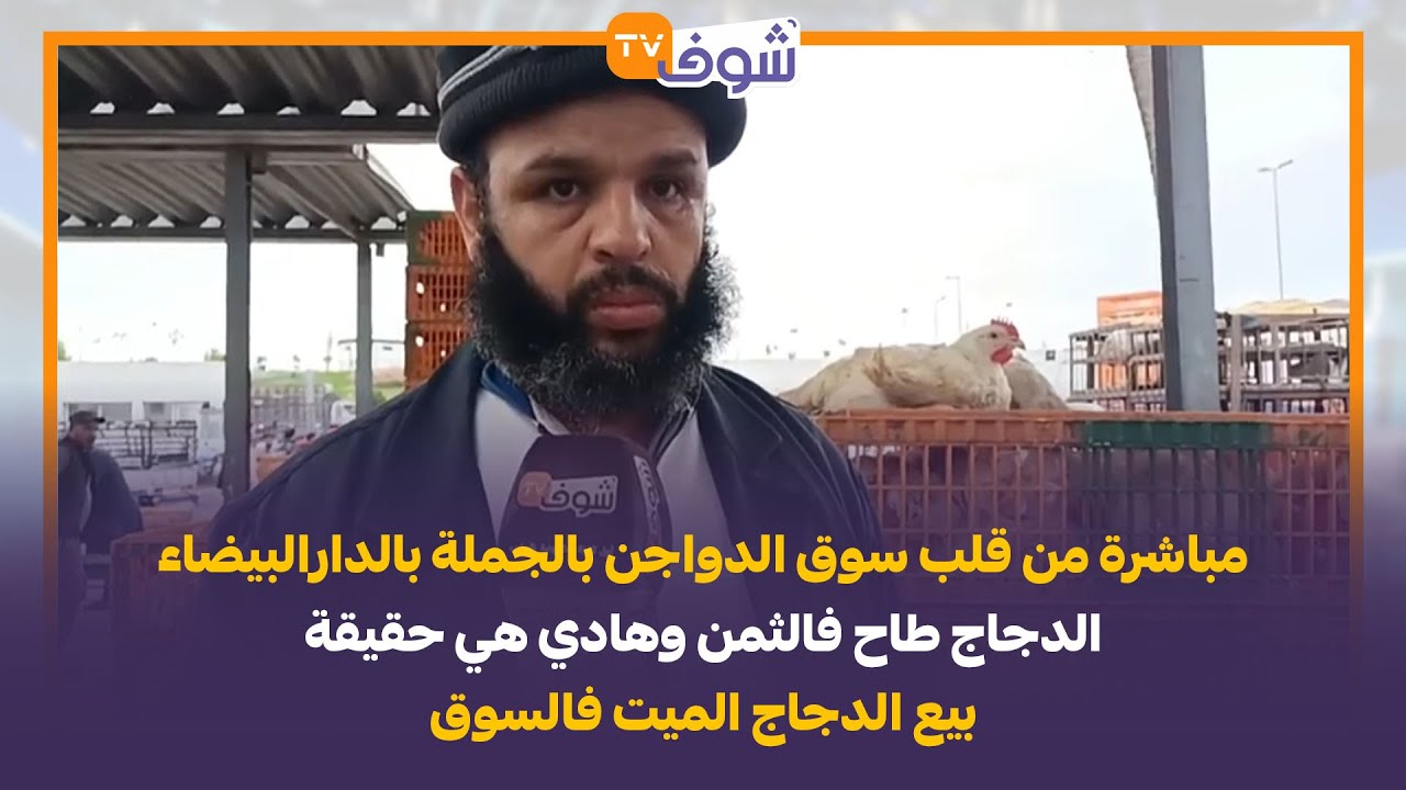 من قلب سوق الدواجن بالجملة بالدارالبيضاء....الدجاج طاح فالثمن وهادي هي حقيقة بيع الدجاج الميت فالسوق