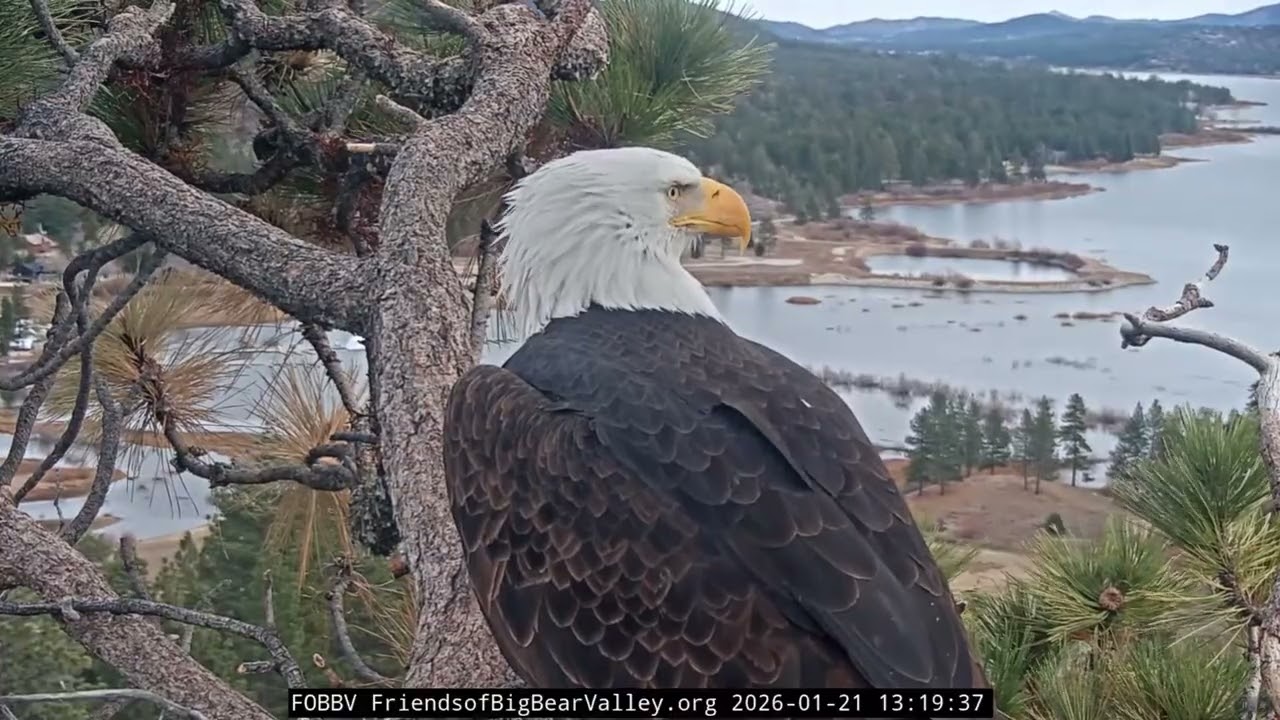 1-21-2026 In the waiting room