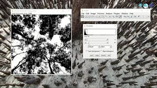 Day 05 | MHI Training | FIRST | Hemispherical Photograph Analysis using ImageJ screenshot 5