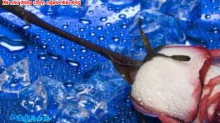 (Vietsub + Kara) 情深深雨蒙蒙 - Qing shen shen yu meng meng - Mưa lất phất tình đậm sâu - Triệu Vy