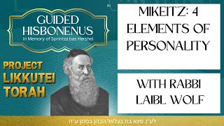 MIKEITZ: The Four Elements of Personality 🔥💨🌎🌊 with Rabbi Laibl Wolf