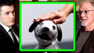 Will Boston Dynamics build robot pets? | Robert Playter and Lex Fridman