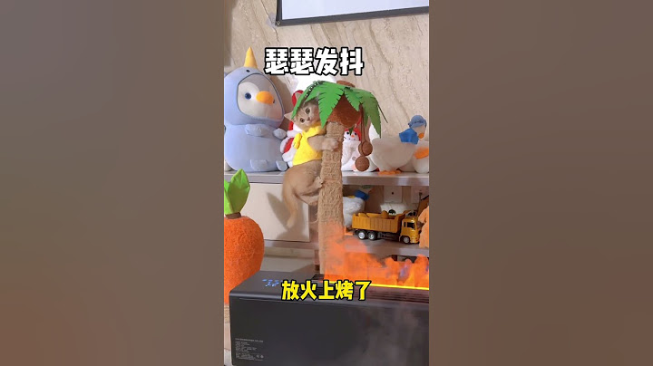 【獨生子的日常】小黄喝醉的后续来了#铲屎官的乐趣 #小奶猫 #有镜头感的小猫