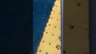 Discussions on Zero Particles ( Juz Alladhi La Yatajazza ) 2 The Definitions-