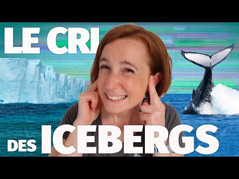 Chant des 🐳 baleines 🆚️ cri des iceberg ❄ Qui fait le plus de bruit ? | Carnet De Bord #3