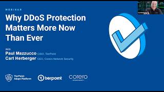 Why DDoS Protection Matters More Than Ever