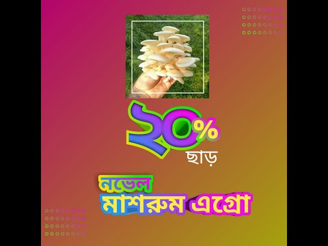 ভিডিও: প্রতিদিনের জন্য লম্বা খাবার: মাশরুম সহ পেরোলটো