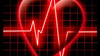 Sevgi Klipi. Ad Gunun Munasibetile