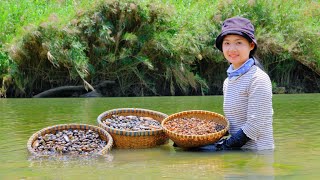 Full Video: Harvesting Snails, Golden Star Apple Goes To Market Sell - Cooking, Farm | Tieu Lien