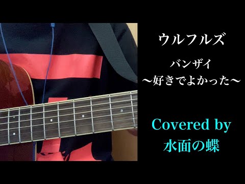 [キー-1]バンザイ〜好きでよかった〜/ウルフルズ 弾き語りCovered by水面の蝶[アコギ]