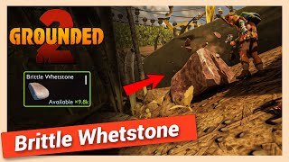 How to Get Brittle Whetstone in Grounded 2 | Quick Location Guide