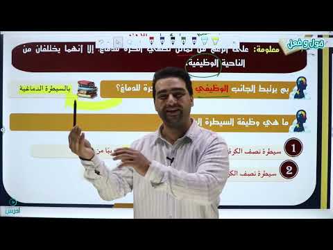 الوحدة الثانية علم النفس الدرس3 هل يؤثر الجهاز العصبي المركزي في ج1 