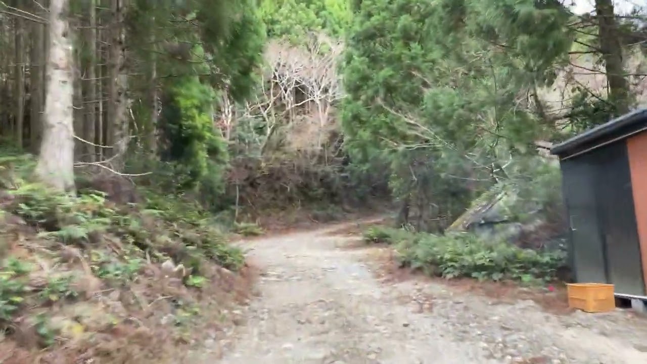 静岡県河津町にある林道小川線を走ってみました！