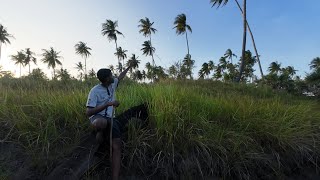 Exploring uncharted lands, embracing nature