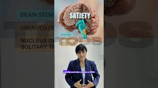 GLP-1, Ozempic &amp; Mounjaro Explained 💉 | Not a Magic Weight Loss Fix | DR Tulip | TODS