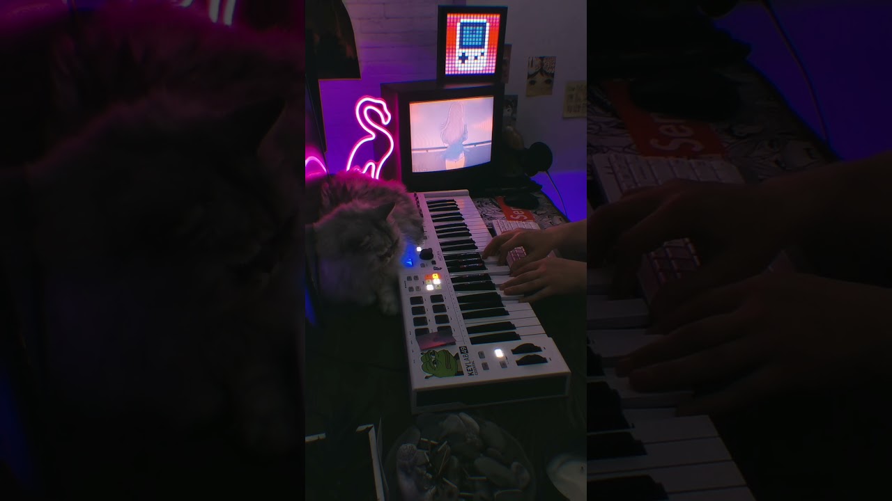 🌀 d r e a m s c l u b 🌀