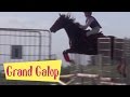 Grand galop 110  lapprentissage de la vie partie 1   pisode complet