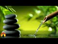 🔴 Relaxing Music 24/7, Healing Music, Meditation Music, Spa Music, Sleep, Zen, Study Music, Yoga