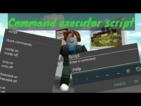 Script executor