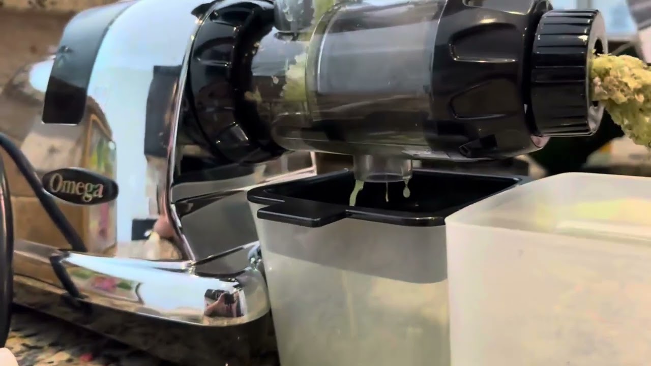 Omega J8006HDS Juicer Review: Perfect for Nutrient-Rich Juice (2026)