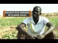 Sénégal : Parcours d'un champion de la patate douce