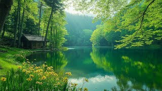 Beautiful Relaxing Music - Stop Overthinking, Stress Relief Music With Calming Birds Singing