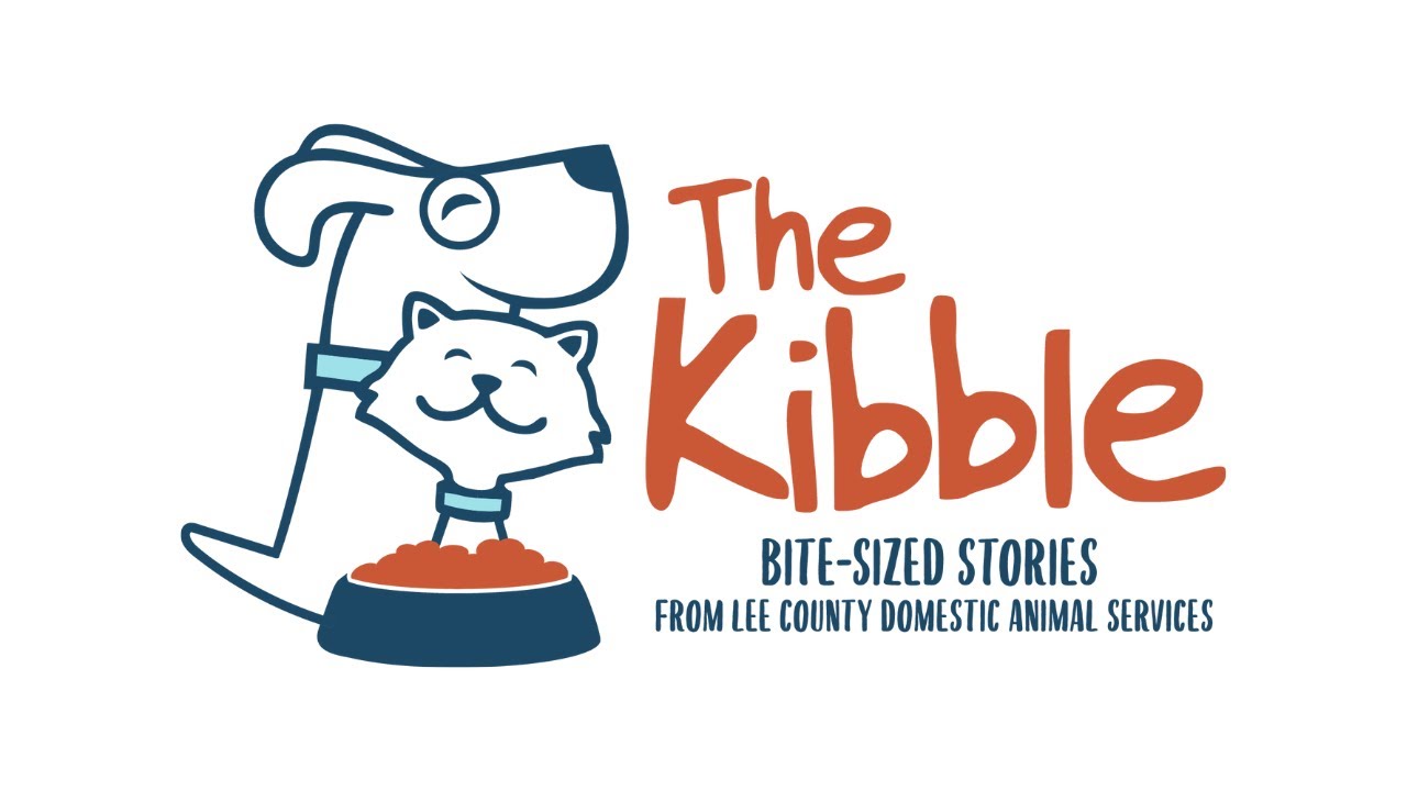 Cell Dogs Program | The Kibble - Bite-sized Stories from Lee County  Domestic Animal Services - YouTube