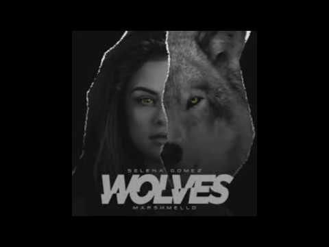 text-lyric-prank-/-selena-gomez-wolves