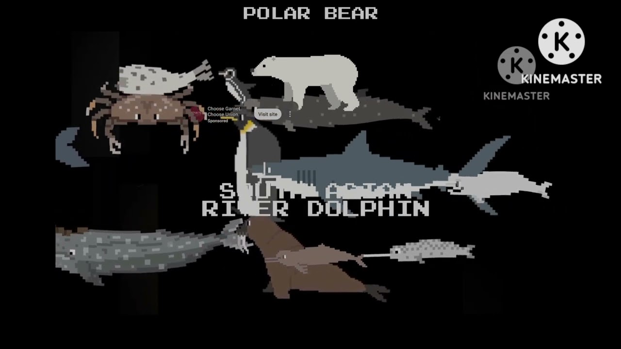 Animals under the sea book versions 1-10 stampede - 