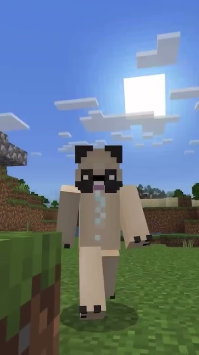 Why is bedrock called bedrock and Java called Java?#minecraft #shots ...