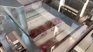 Rooster - Crate Filler Flowpacks - Riempitore Di Casse Flowpack