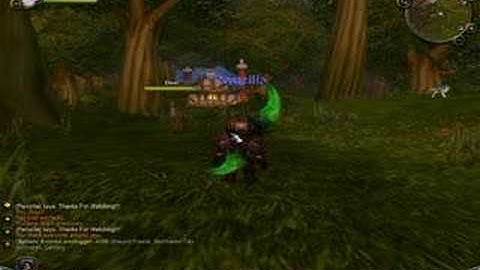 WoW Admin/ GM Fun Commands