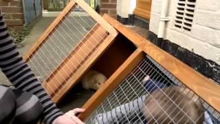 Ghostly apparition on woman's dress !