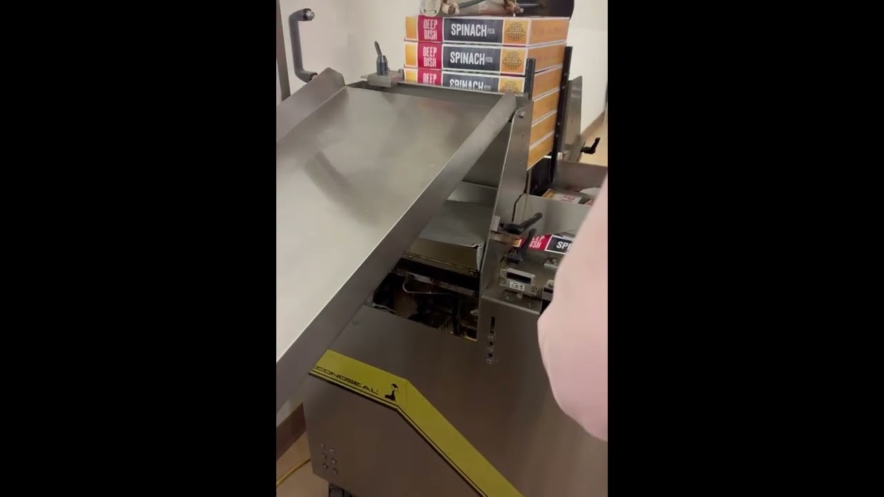 E330794 - EconoCorp E-2000 Cartoning machine