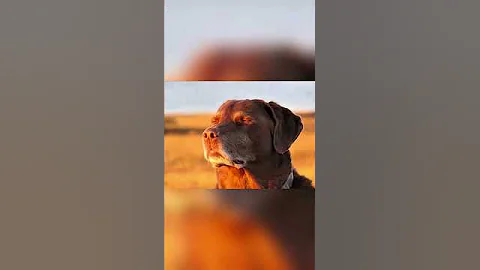 I’m So Cooked💔#rizz #funny #twitch #live #clips #viral #shorts #stream #reels #shortvideo #streamer