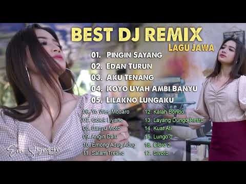 Cinta Hanya Sekali  (DJ REMIX) - Era Syaqira  //  Bukan Emas Permata Yang Kupinta