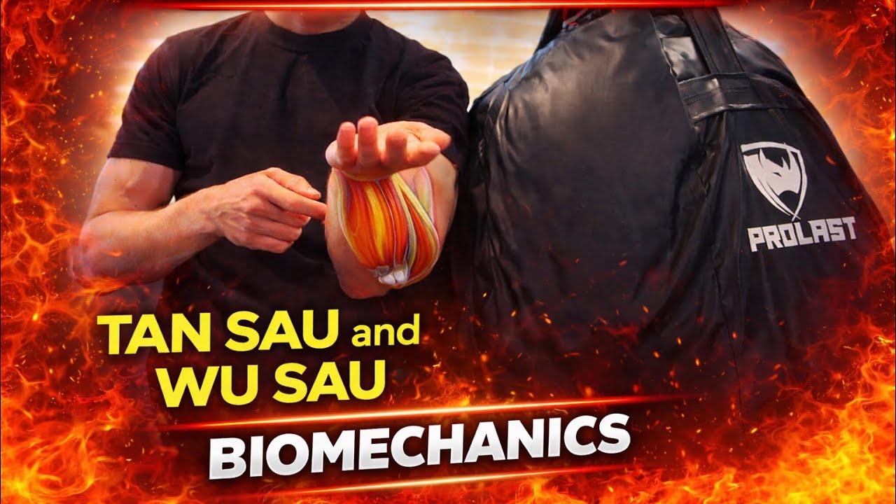 Siu Nim Tao Tan and Wu Sau biomechanics