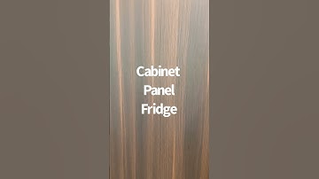 Cabinet Panel Fridge